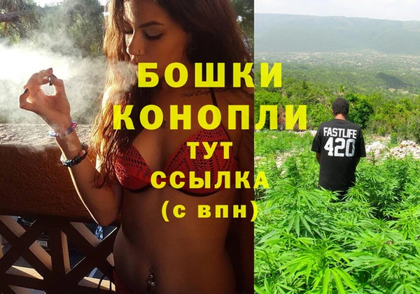 сатива Балахна