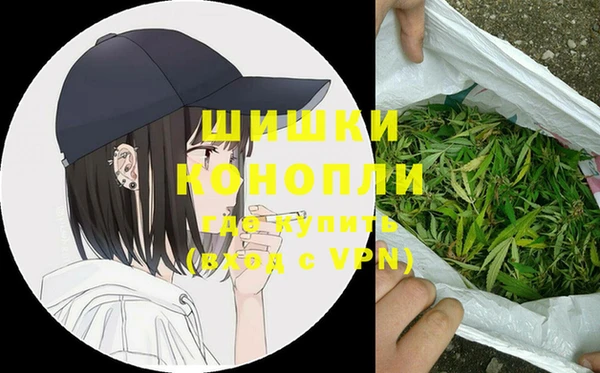сатива Балахна