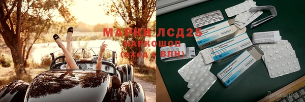 сатива Балахна