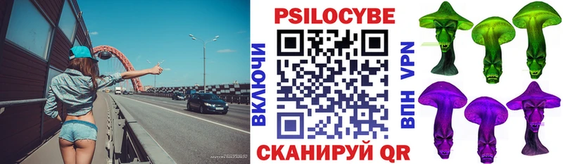 Псилоцибиновые грибы Psilocybe  сколько стоит  Тихвин 